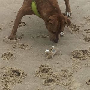 Meet your Posher, Tim